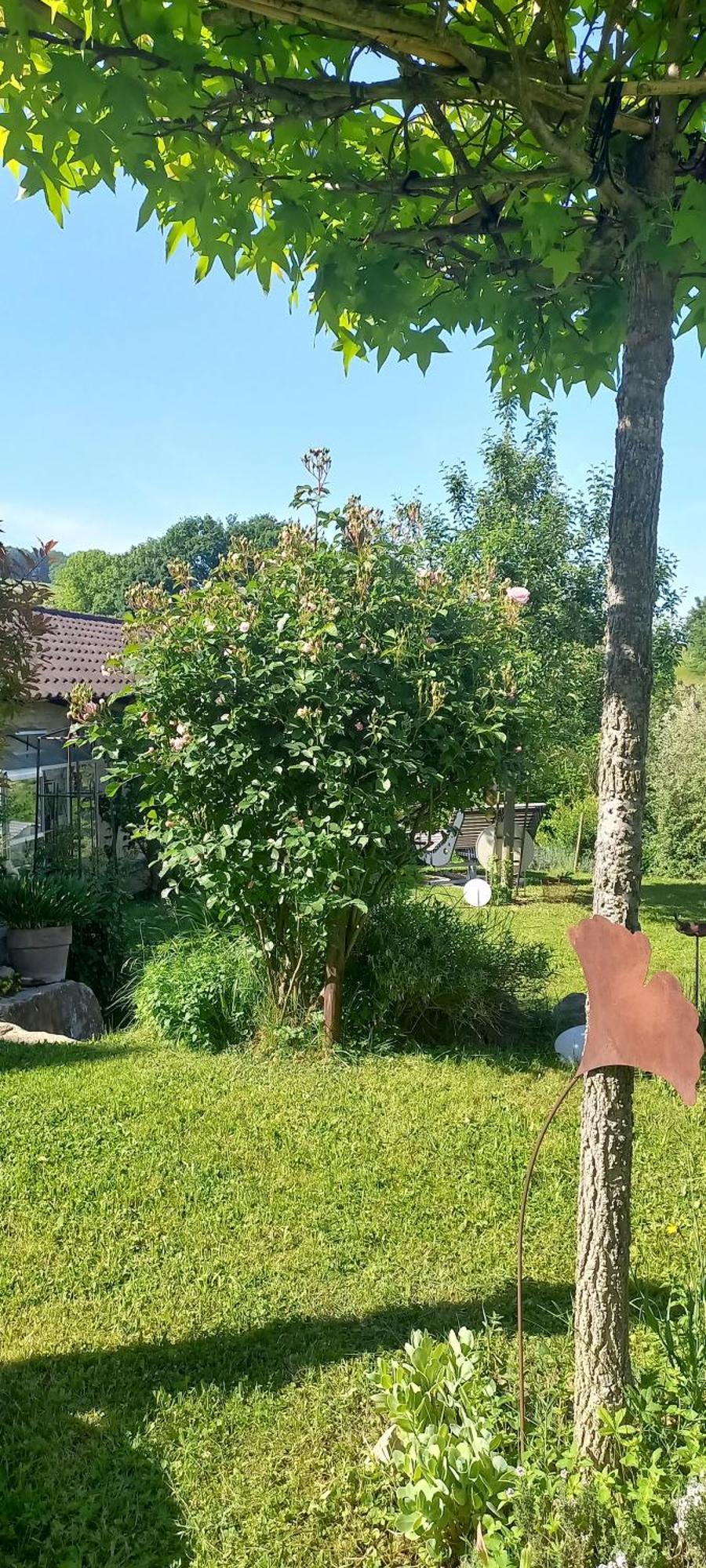 Ferienwohnung Rebgaertle Britzingen Eksteriør billede